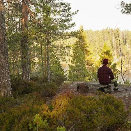 Hawkhill Сasa de vacaciones *