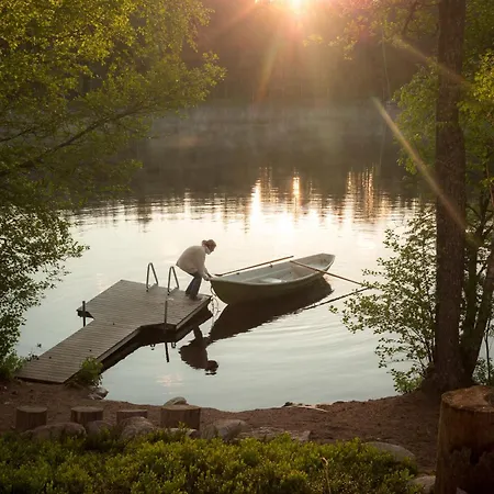 Hawkhill * Tervalampi