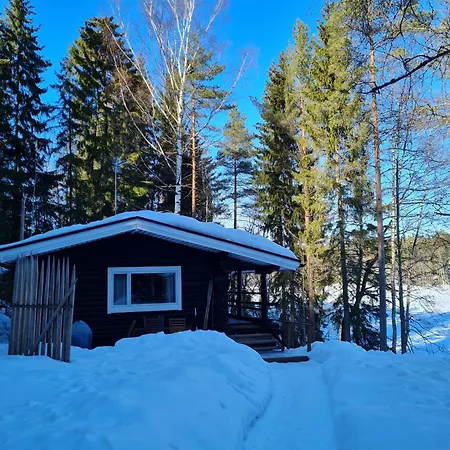Hawkhill Tervalampi